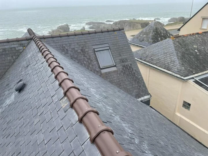 Faitage de toiture et Velux