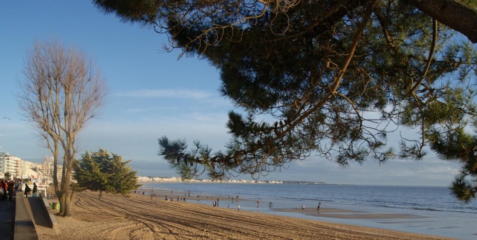 nettoyage de toiture Batz sur Mer