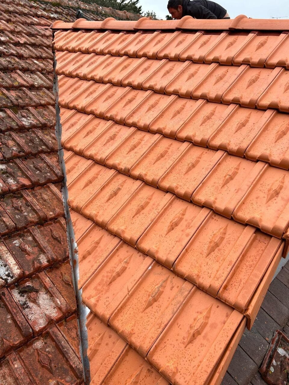 nettoyage de toiture Saint Herblain